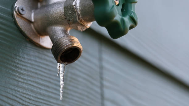 Best Plumbing Services Near Me  in Carrollton, VA